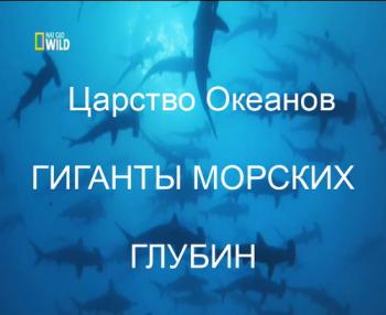 NatGeoWild:  .   / NatGeoWild: Kingdom okeanov.Giganty deep sea VO