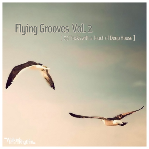 VA - Flying Grooves, Vol. 1-2 