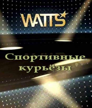   !!! (  29.03.2015) / Watts Zap