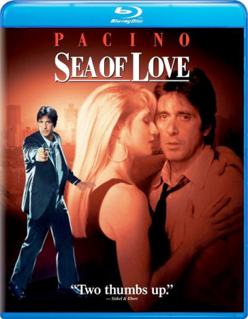   / Sea of Love MVO