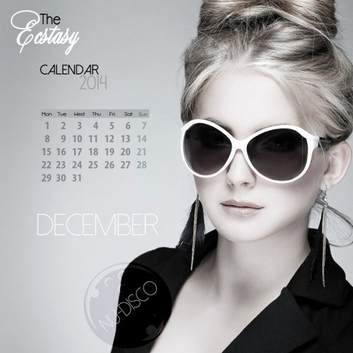 VA - The Ecstasy Calendar 2014 