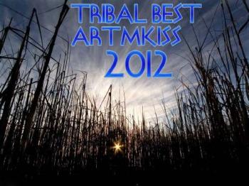 VA - Tribal Best 2012