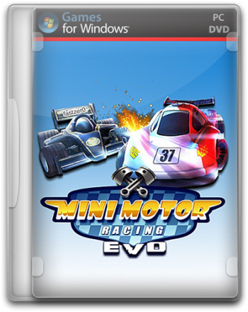 Mini Motor Racing EVO