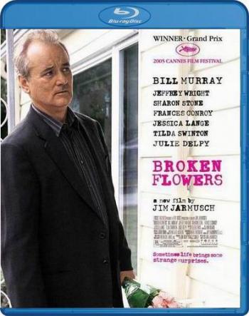   / Broken Flowers MVO