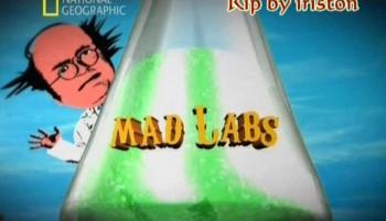   / Mad Labs