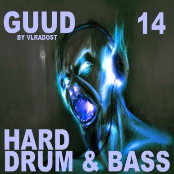 VA - GuuD 14