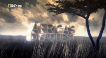   (1-3   3) / NAT GEO WILD. Africa s Deadliest DUB