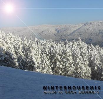 VA - WinterHouseMix 2011