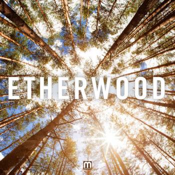 Etherwood - Etherwood