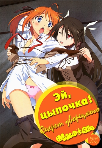 , ! / Mayo Chiki! [TV] [13  13] [RAW] [RUS+JAP] [720p]