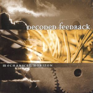 Decoded Feedback -  