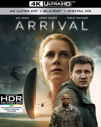  / Arrival DUB