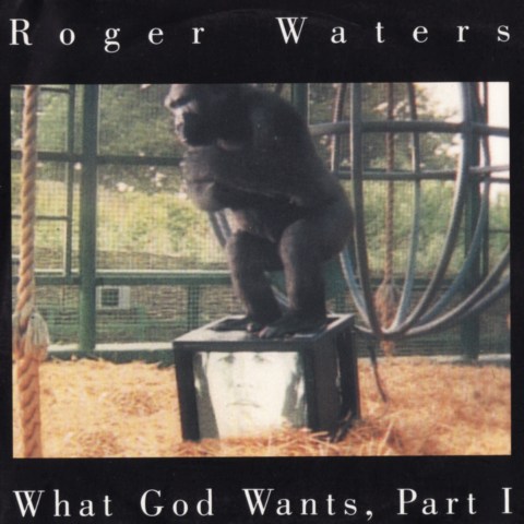 Roger Waters Discography 