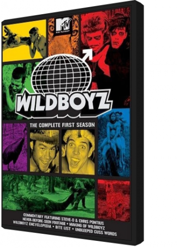  1  / Wildboyz