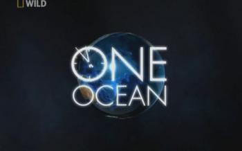  :  / One Ocean:Deep mysteries