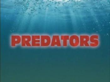  (10 ) / Predators