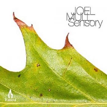 Joel Mull - Sensory