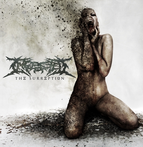 Ingested -  