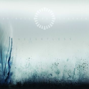 Animals As Leaders - Weightless