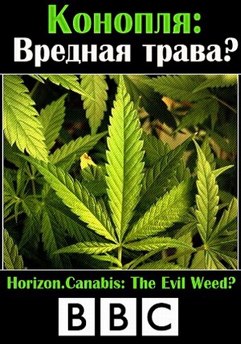 BBC: :  ? / BBC: Horizon.Canabis: The Evil Weed? VO