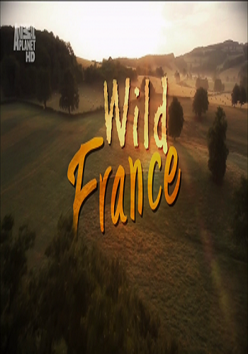   (10   10) / Wild France VO