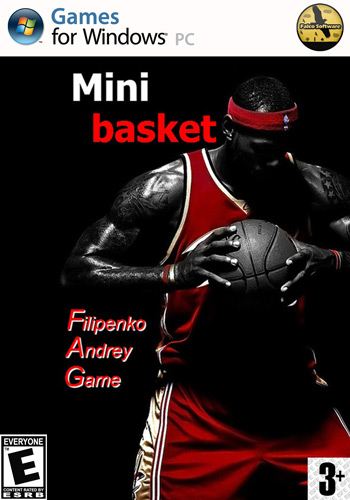 Mini Basket