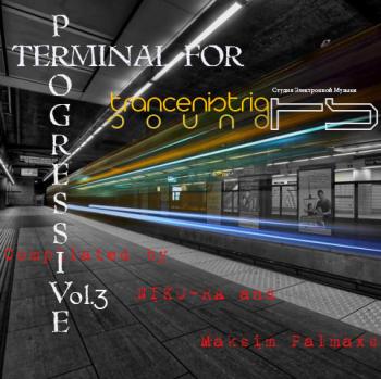 VA - Terminal For Progressive Vol.3