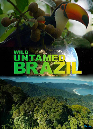   ( 1-5  5) / Wild Untamed Brazil DUB