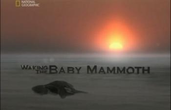  . :    / National Geographic. Waking the Baby Mammoth VO