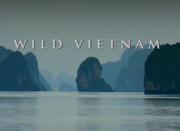   .   / National Geographic. Wild Vietnam DUB