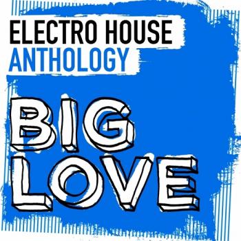 VA - Big Love Electro House Anthology