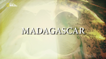  -    / NAT GEO WILD. Madagascar VO