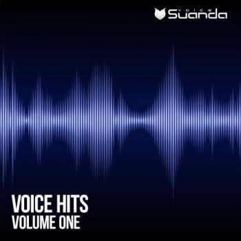 VA - Voice Hits Vol 1