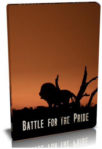    / NAT GEO WILD. Battle For The Pride VO