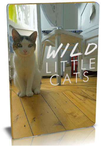    / NAT GEO WILD. Wild little cats VO