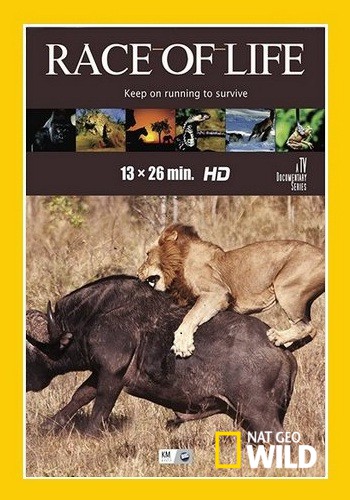   (1 , 1-13   13) / NAT GEO WILD. Race of Life VO