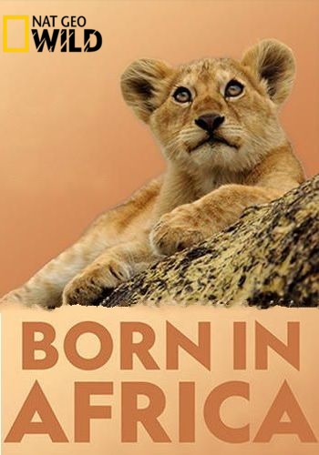   .   / NAT GEO WILD. Born in Africa VO