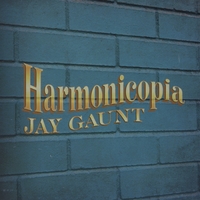 Jay Gaunt - Harmonicopia