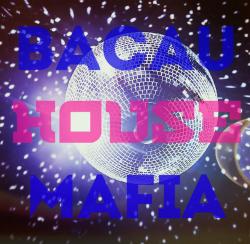 VA - BacauHouseMafia vol.8