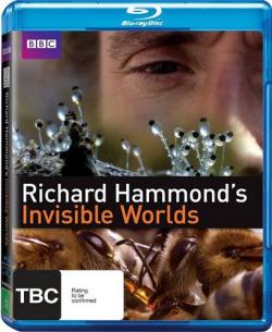 BBC:   / BBC: Invisible Worlds VO