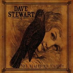 Dave Stewart - The Blackbird Diaries