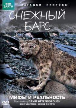 BBC:  :    / Snow Leopard: Beyond the Myth