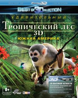   3D / Fascination rainforest 3D [2D  3D] [RUS] VO