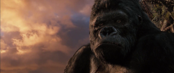   / King Kong DUB