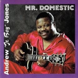 Andrew Jr. Boy Jones - Mr. Domestic