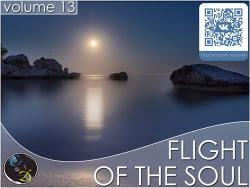 VA - Flight Of The Soul vol.13