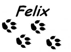 Felix