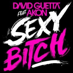 David Guetta feat. Akon - Sexy Bitch