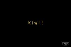 ! / Kiwi