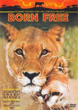   / Born Free DVO